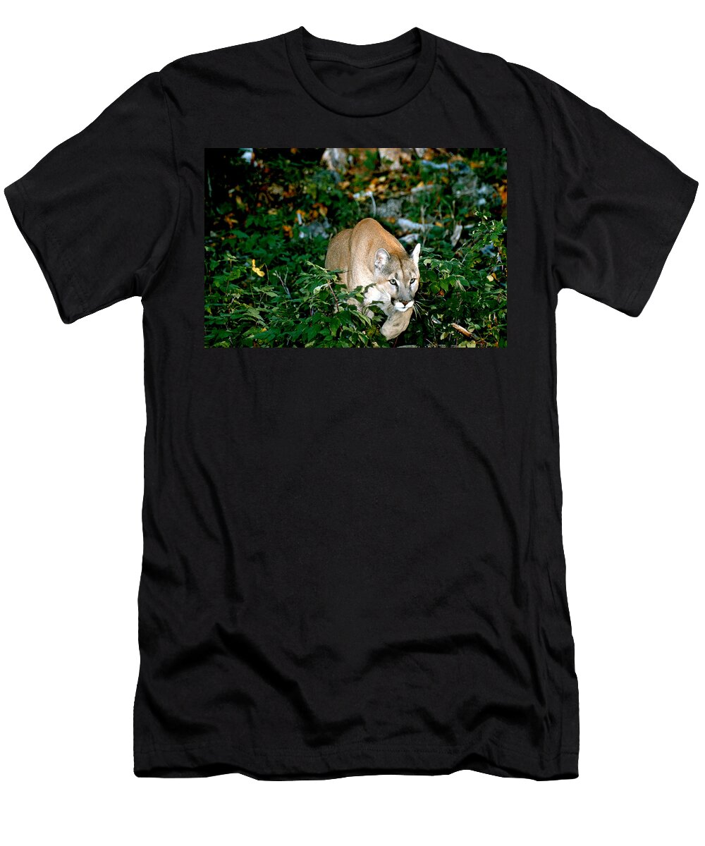 Coming Through the Forest Larry Allan T-Shirt