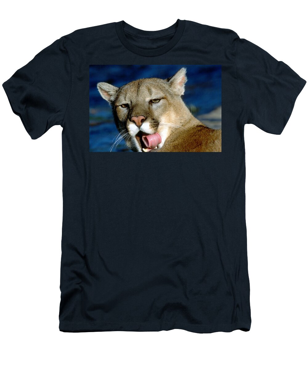 Cougar After a Meal Larry Allan T-Shirt