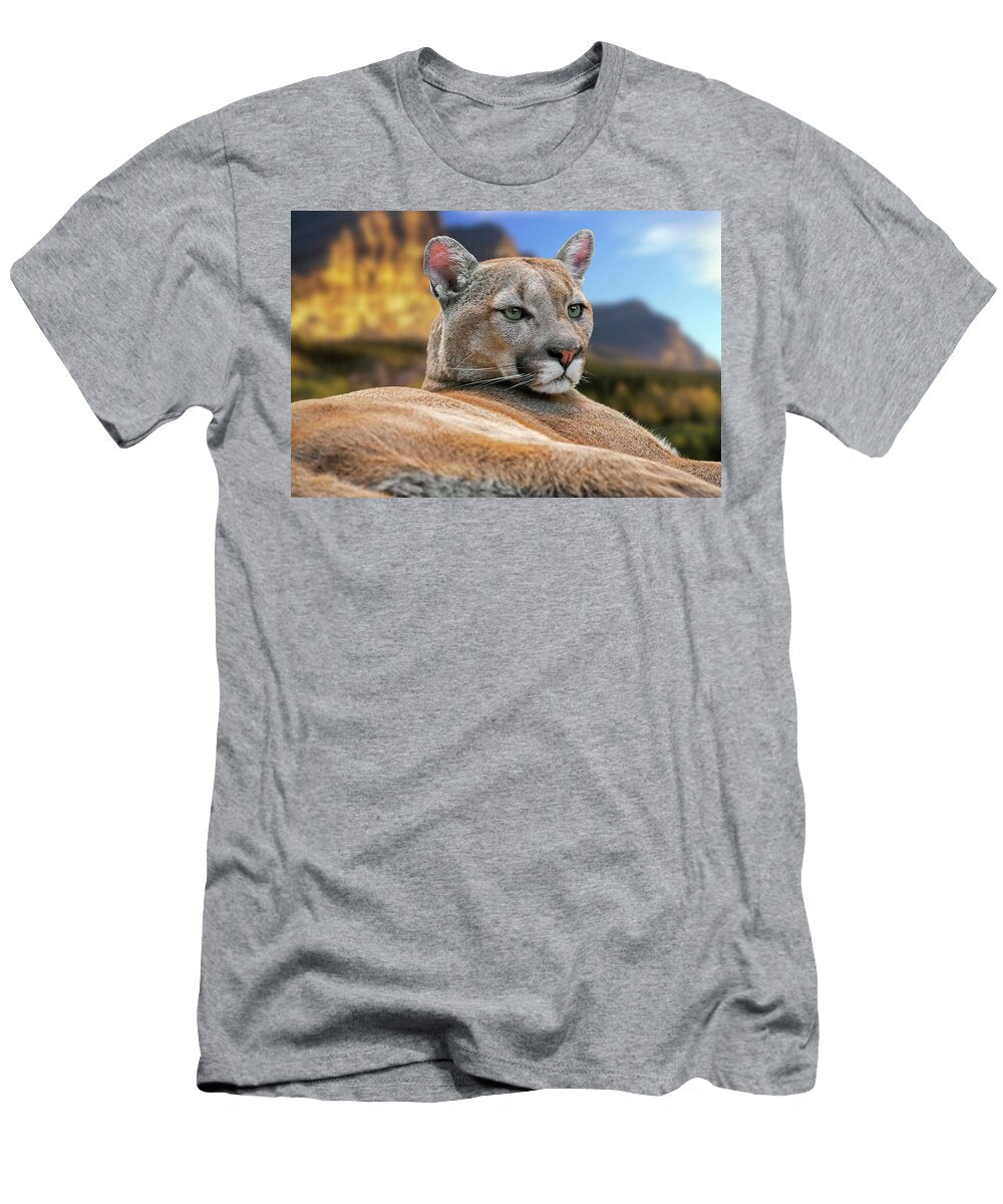 Cougar Arterra Picture Library T-Shirt