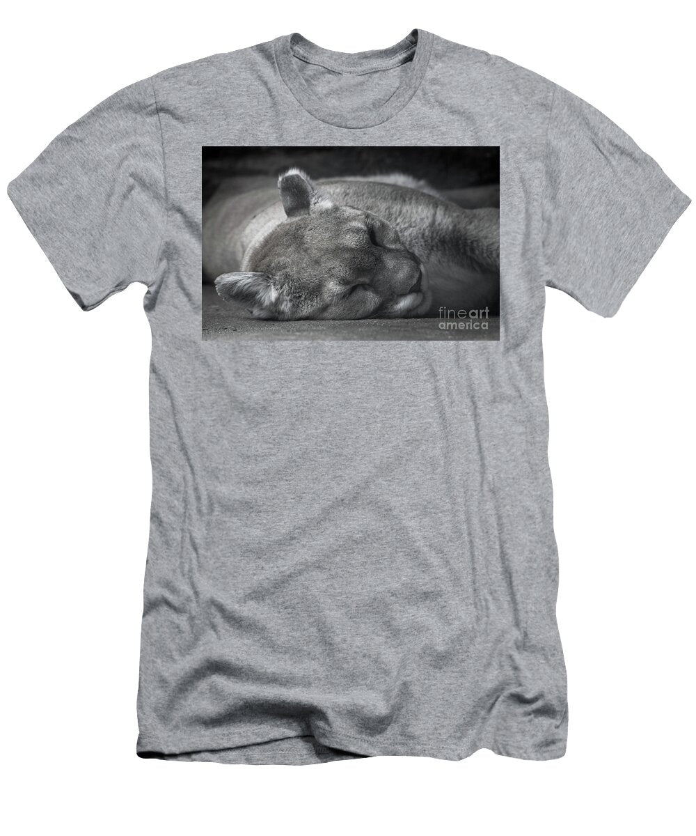 Cougar Cat Nap Amy Sorvillo T-Shirt