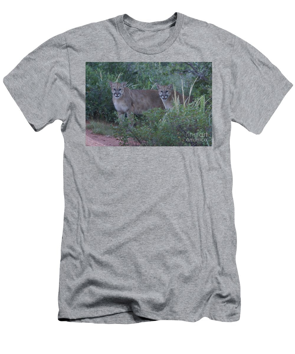 Cougar Encounter in Garden of the Gods Cropped Steffani Greenleaf T-Shirt