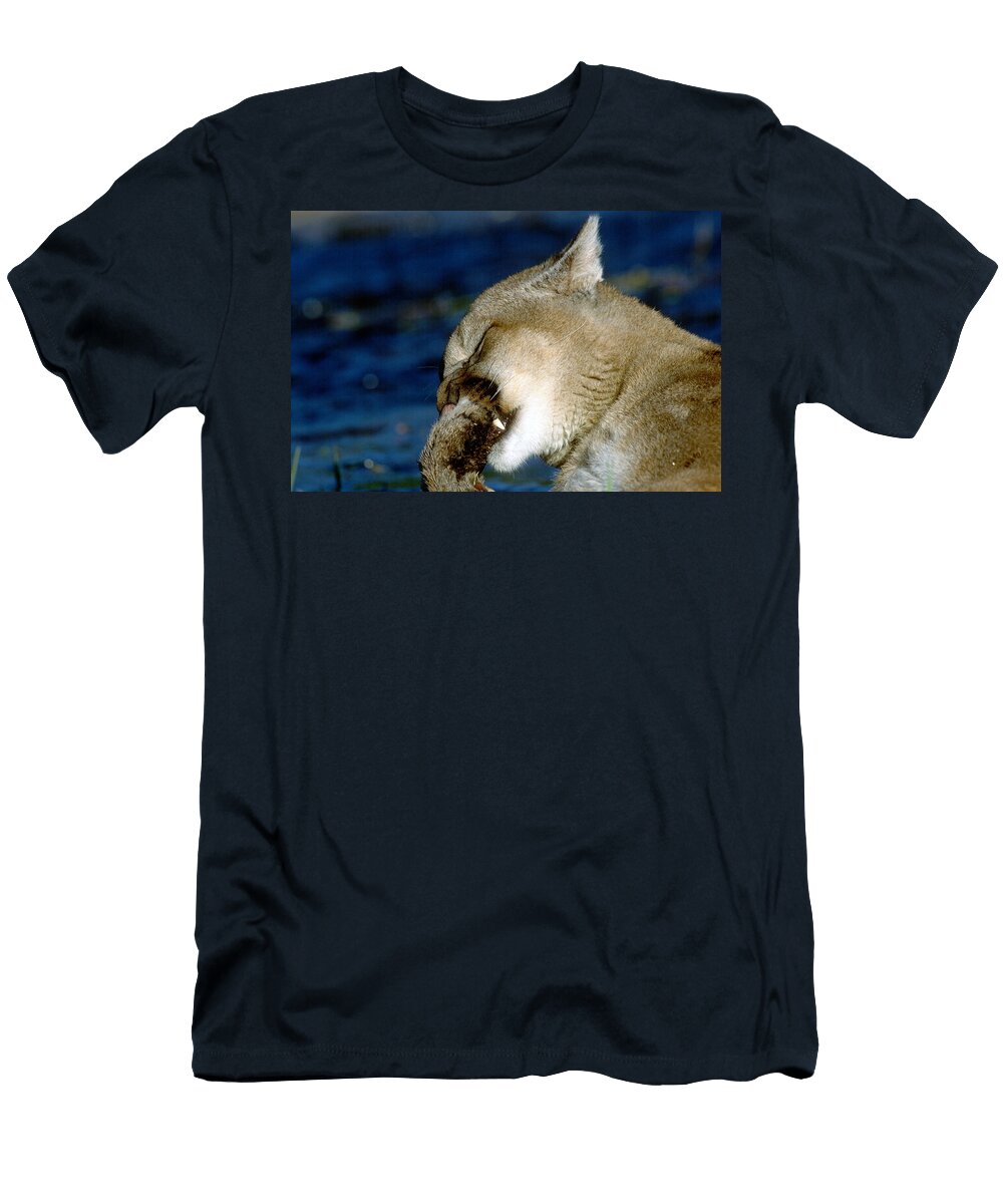 Cougar Grooming Larry Allan T-Shirt