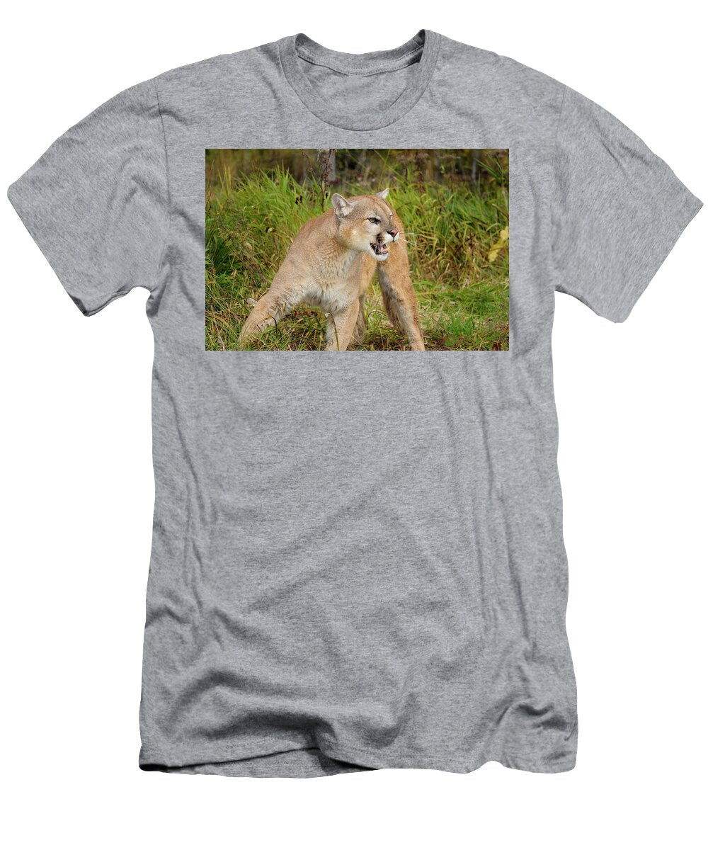 Cougar in a Forest Clearing in the Fall with Open Mouth Showing Reimar Gaertner T-Shirt