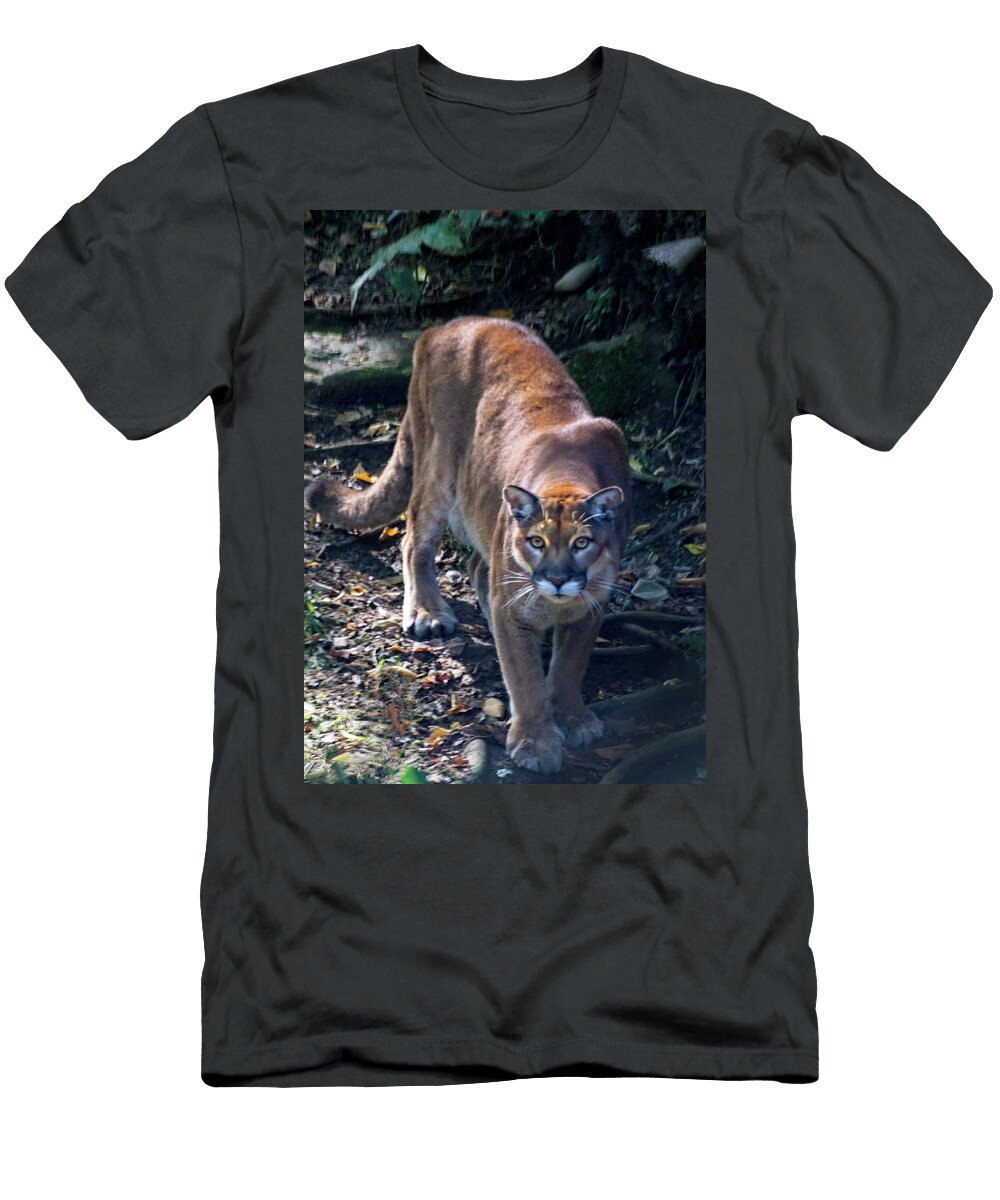 Cougar on the Prawl Douglas Barnett T-Shirt