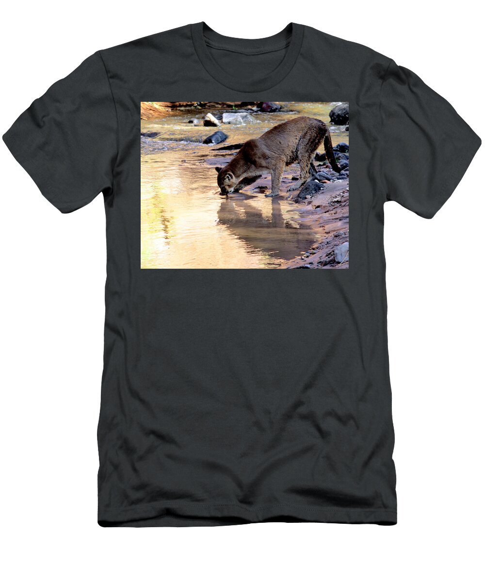 Cougar Stops for a Drink Larry Allan T-Shirt