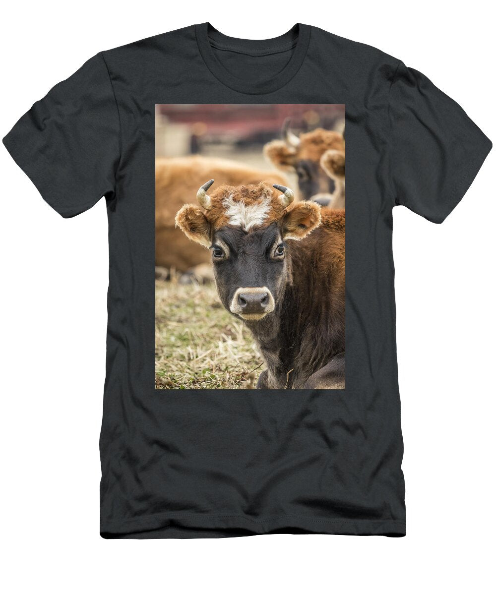 Cow 2 Thomas Young T-Shirt