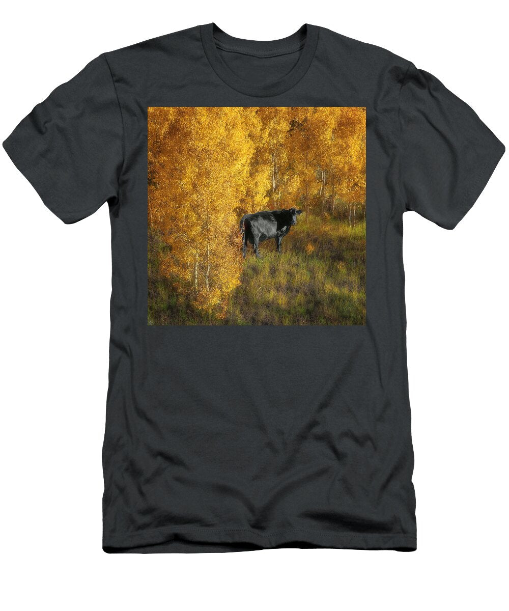 Cow Autumn Aspens Nikolyn Mcdonald T-Shirt