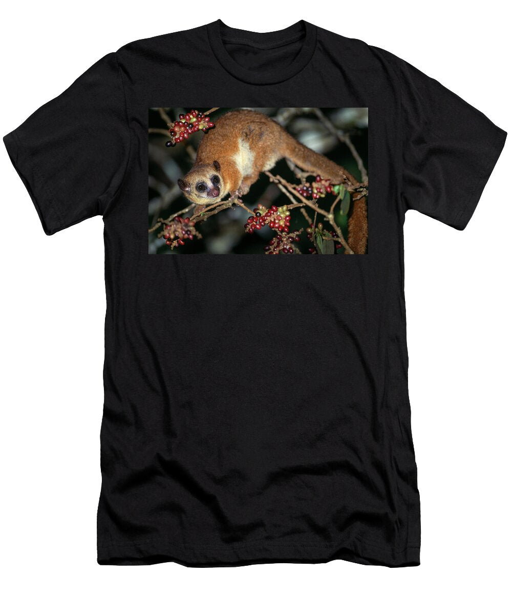 Crossleys Dwarf Lemur Foraging in Rainforest Canopy At Nick Garbutt Natureplcom T-Shirt