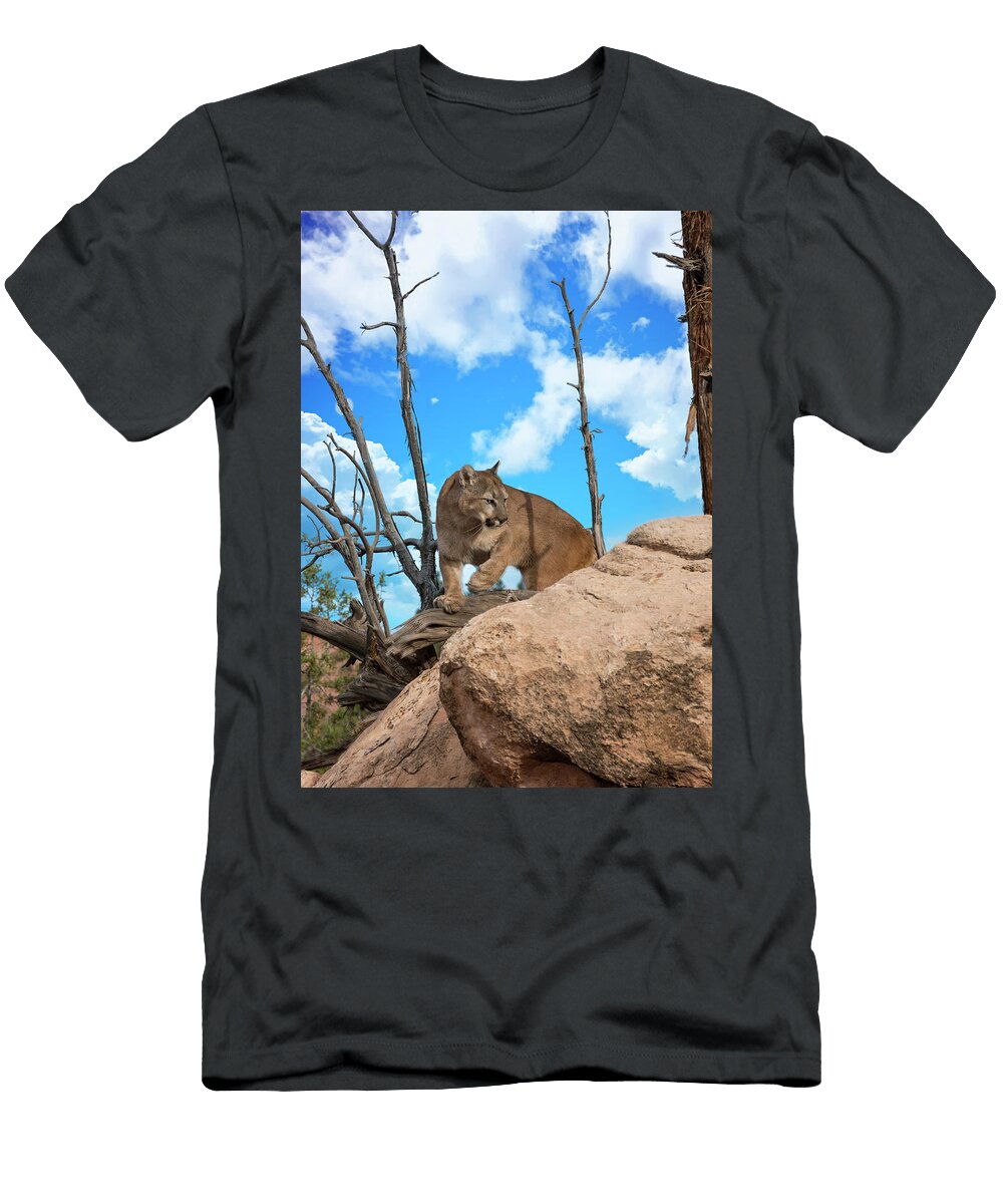 Crouching Cougar Roy Nierdieck T-Shirt