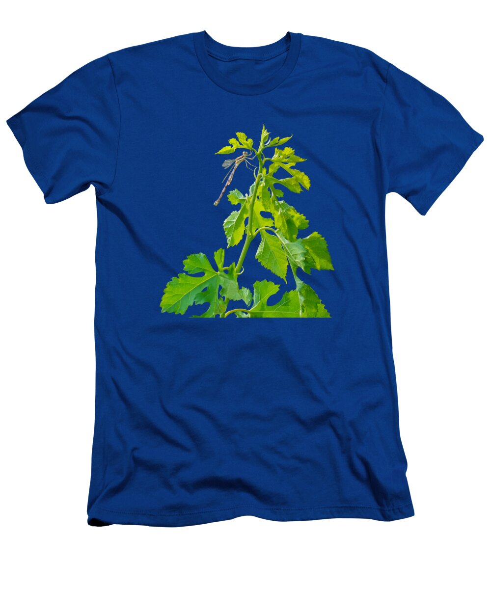 Damselfly Nikolyn Mcdonald T-Shirt