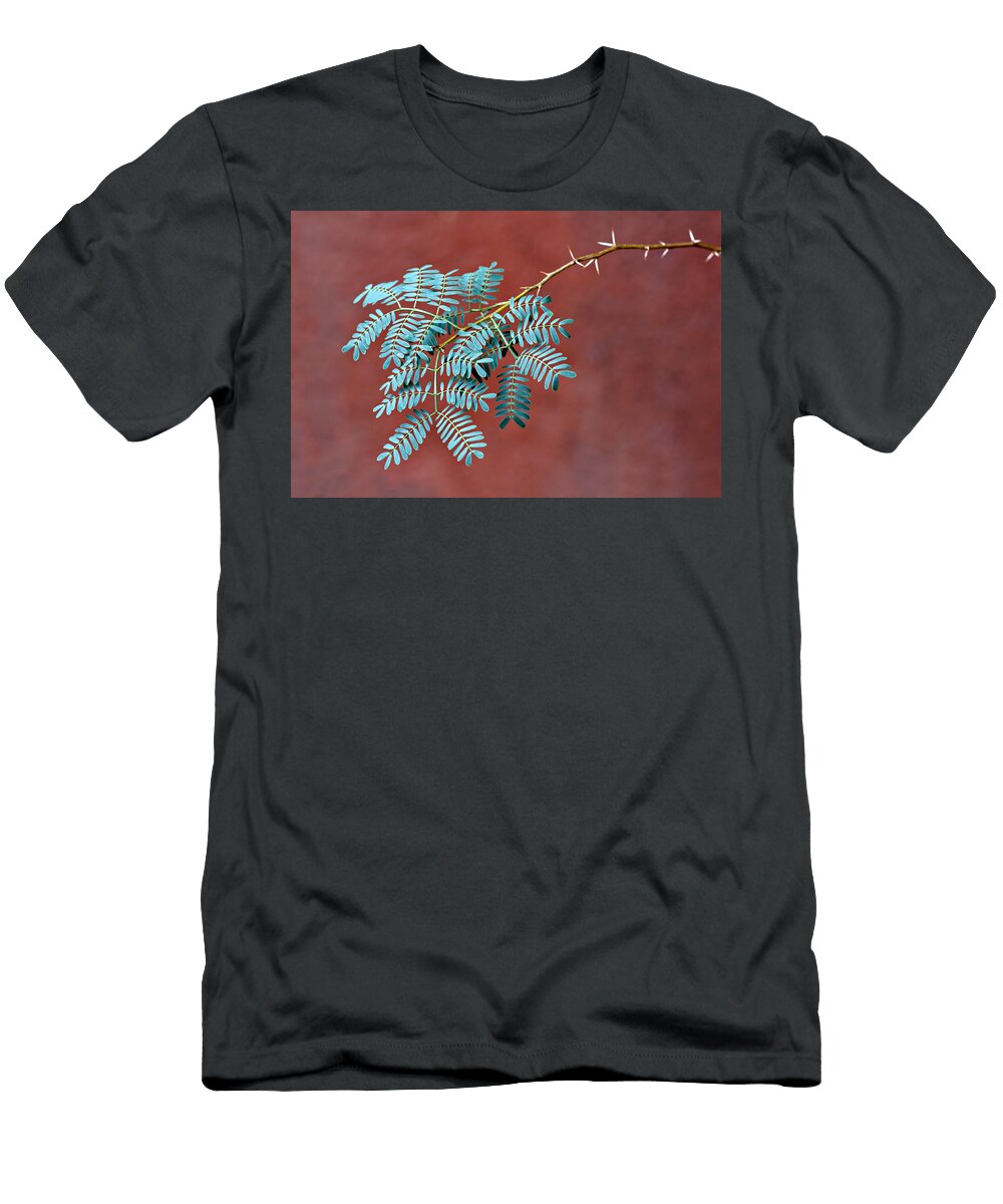 Desert Jewels 2 Nikolyn Mcdonald T-Shirt