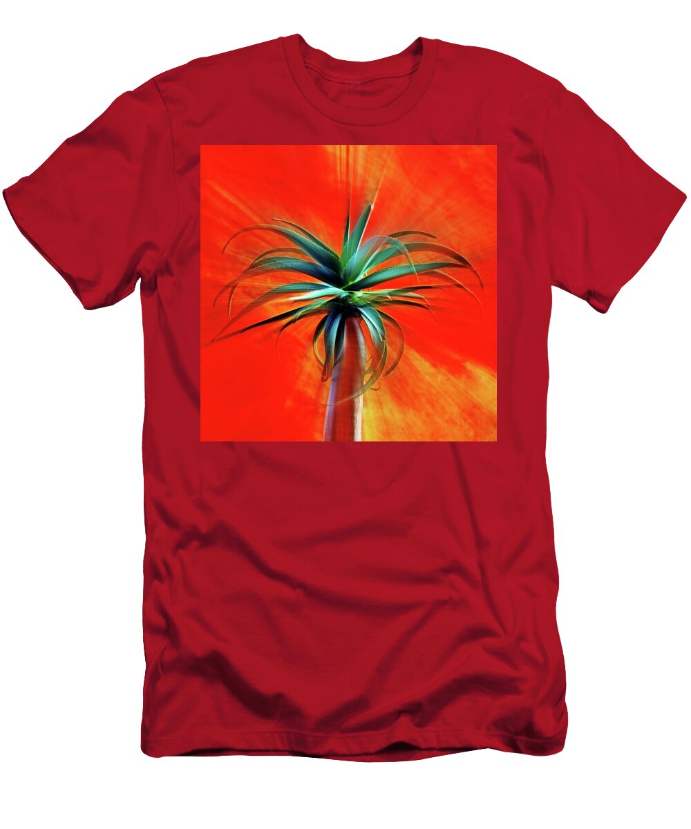 Desert Sunset Moment Nikolyn Mcdonald T-Shirt