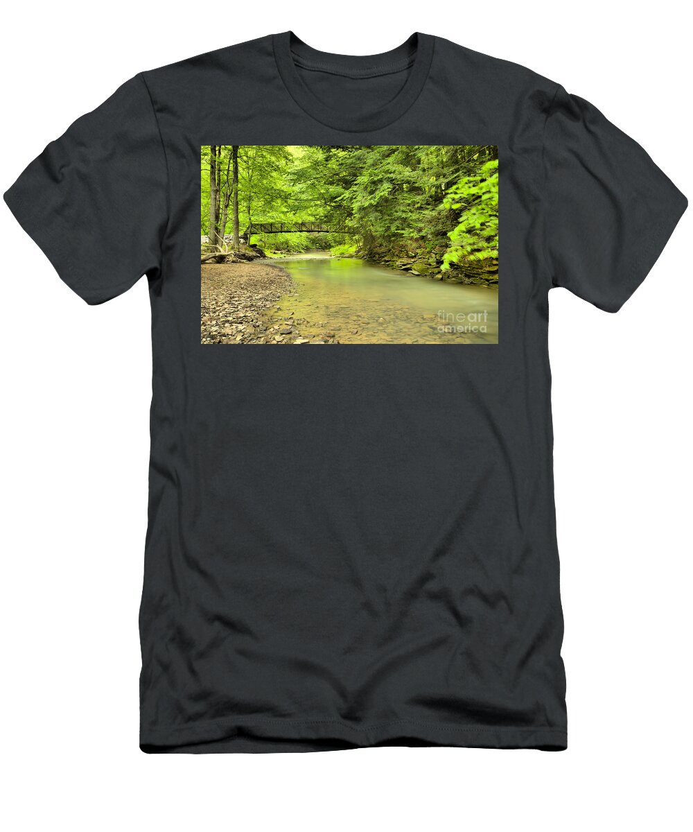 Duff Park Stream Under the Bridge Adam Jewell T-Shirt