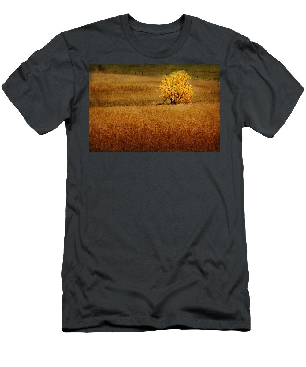 Fall Tree and Field 1 Nikolyn Mcdonald T-Shirt