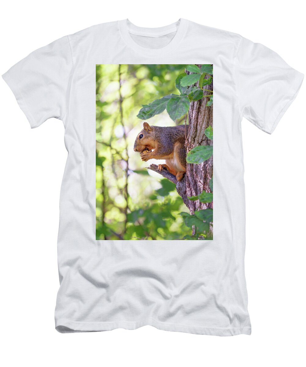 Fat Gus Tree Squirrel Nikolyn Mcdonald T-Shirt