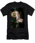 Fat Tailed Dwarf Lemur Climbing Down Branch At Night After Nick Garbutt Natureplcom T-Shirt