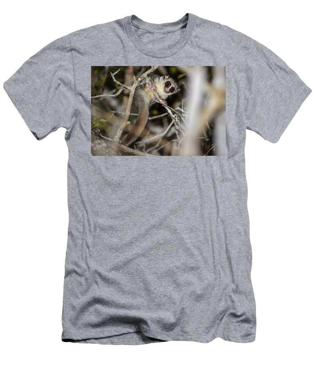 Fat Tailed Dwarf Lemur Looking Down From Branch in Forest Nick Garbutt Natureplcom T-Shirt