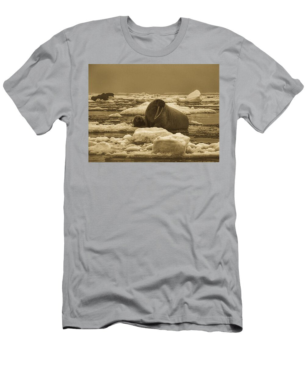 Female Walrus and Pup U S G S Sarah Sonsthagen T-Shirt