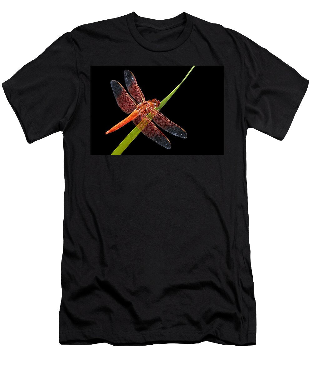 Flame Skimmer Dragonfly Nikolyn Mcdonald T-Shirt