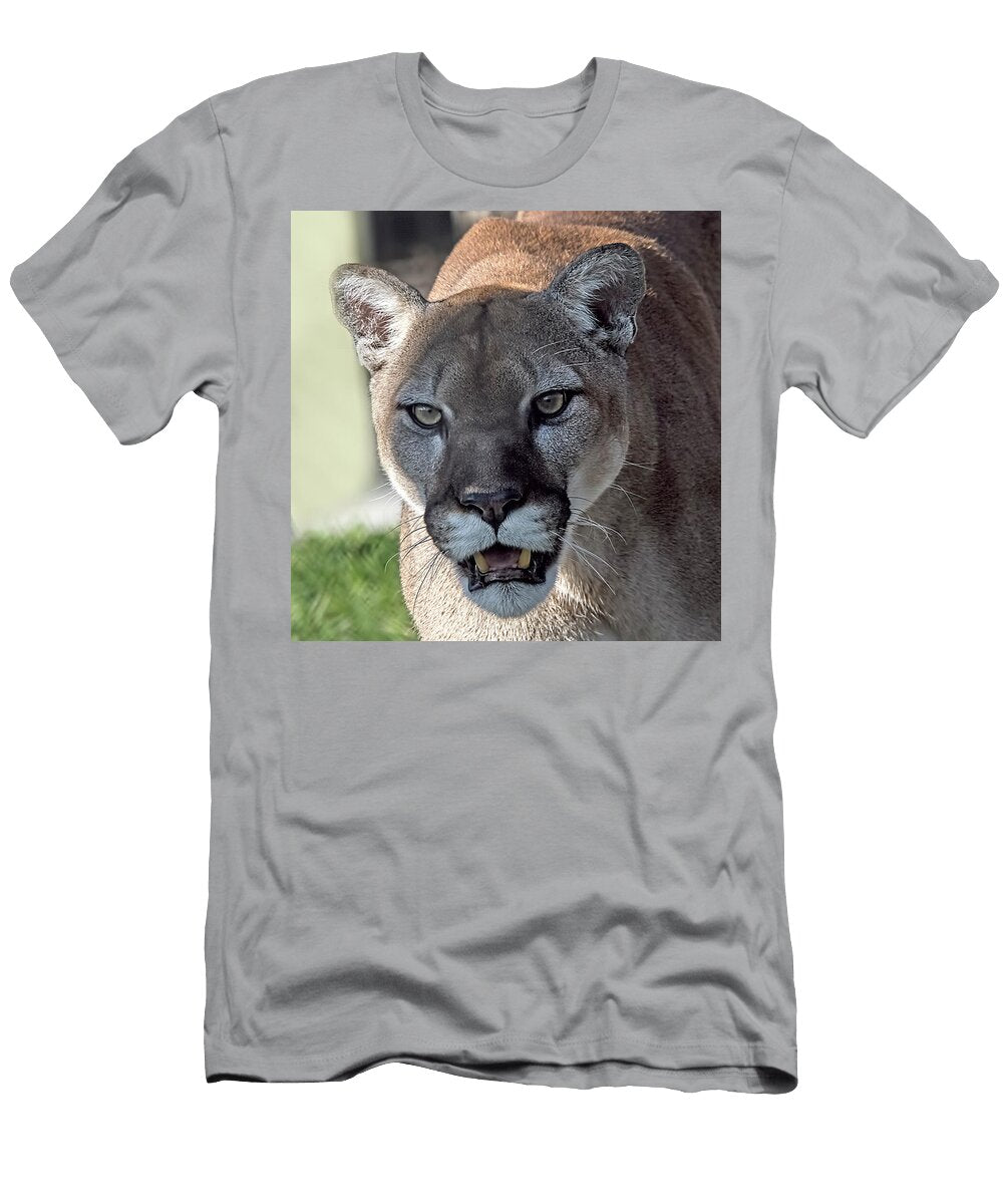 Florida Panther 4074 Matthew Lerman T-Shirt
