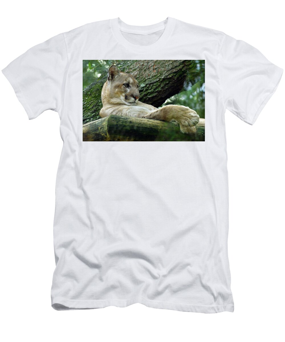 Florida Panther Dean Hueber T-Shirt