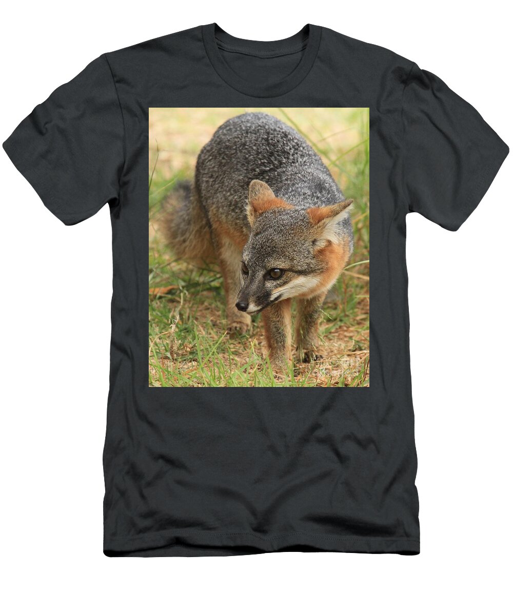 Foxy Intensity Adam Jewell T-Shirt
