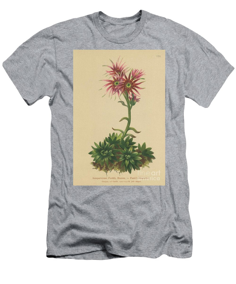 Funks Hen and Chicks Sempervivum Funkii German School T-Shirt