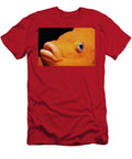 Garibaldi Fish Face Channel Islands California USA Jeff Rotman Natureplcom T-Shirt