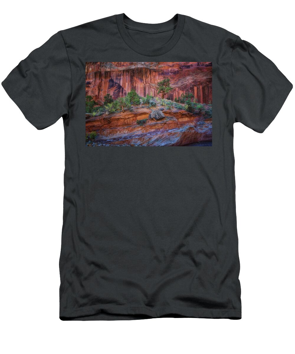 Grand Wash Capitol Reef Nikolyn Mcdonald T-Shirt