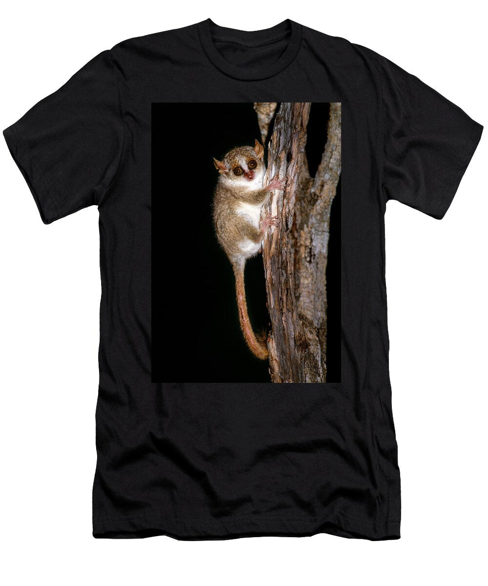 Grey Mouse Lemur on Tree Trunk At Night Kirindy Forest Nick Garbutt Natureplcom T-Shirt