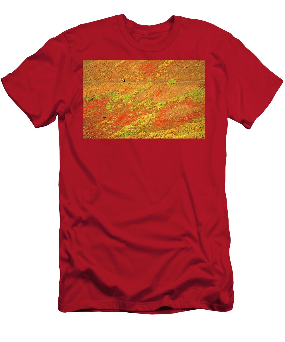 Grizzly Bear and Mountain Biker Denali Stephen Gorman T-Shirt