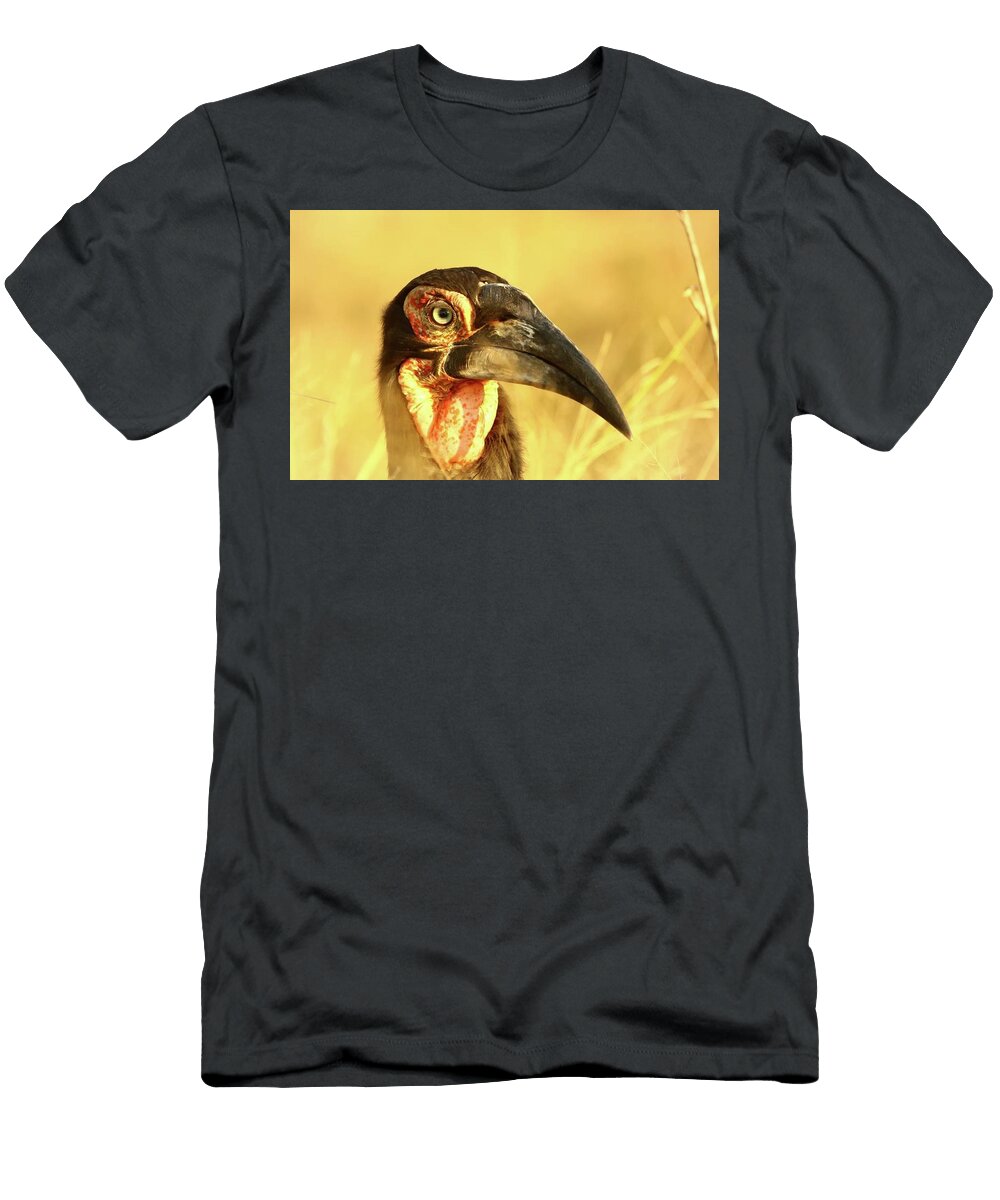 Ground Hornbill Adriaan Prinsloo T-Shirt