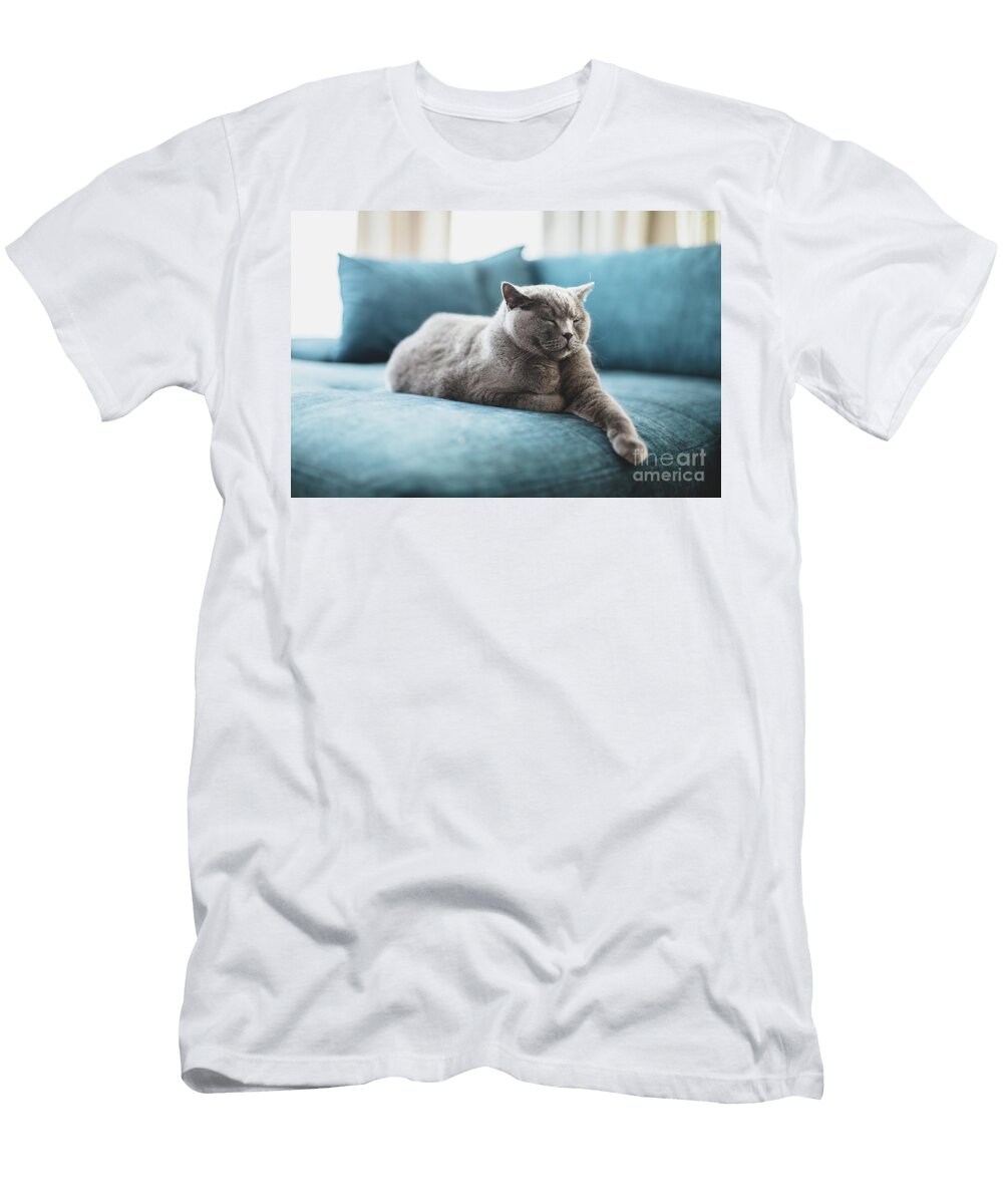 Happy British Cat Lying Relaxed and Sleepy on Couch At Home Michal Bednarek T-Shirt