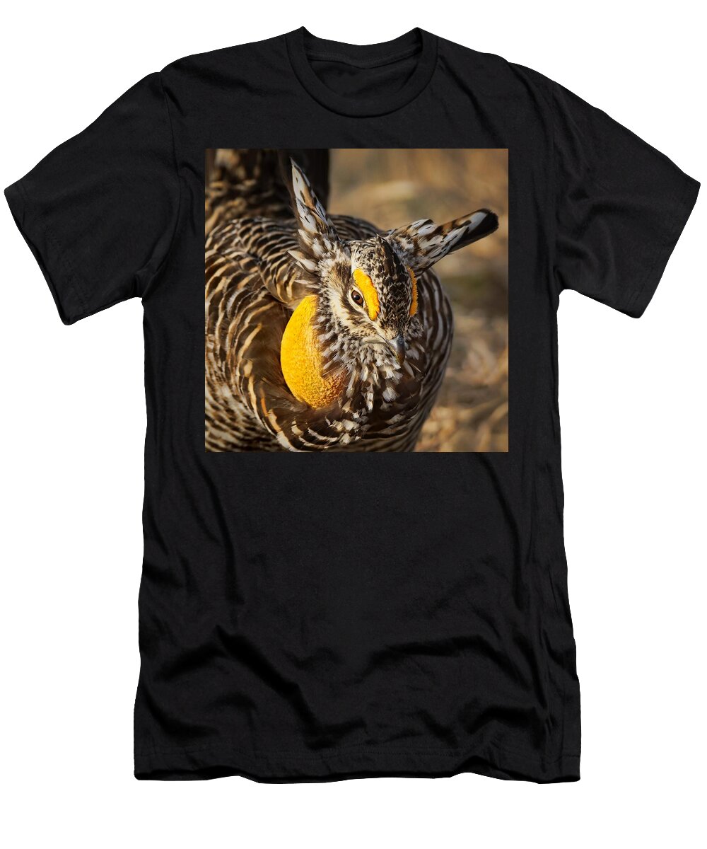 I Mean Business Nikolyn Mcdonald T-Shirt