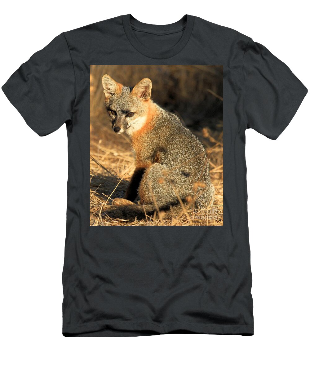I Will Pee on Your Picnic Table Adam Jewell T-Shirt