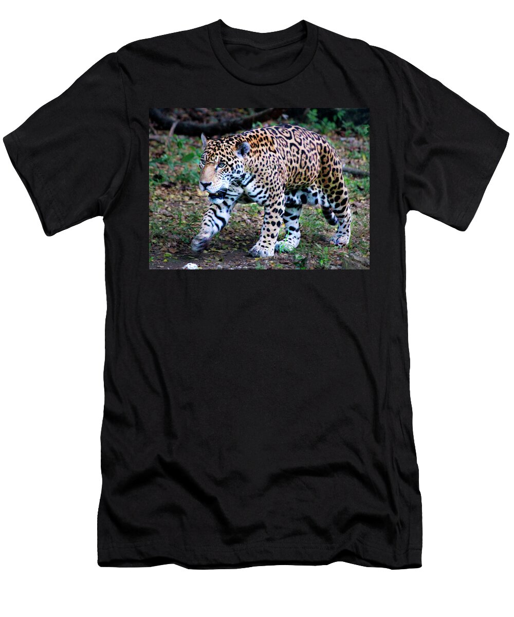 Jaguar Prowl Pauline Darrow T-Shirt