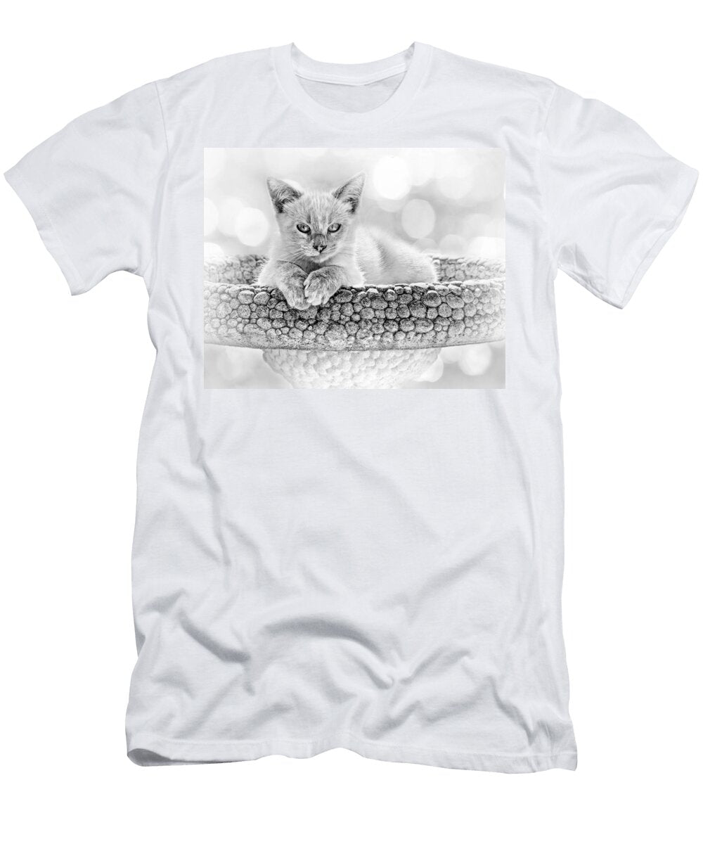 Kitty Comfort Nikolyn Mcdonald T-Shirt