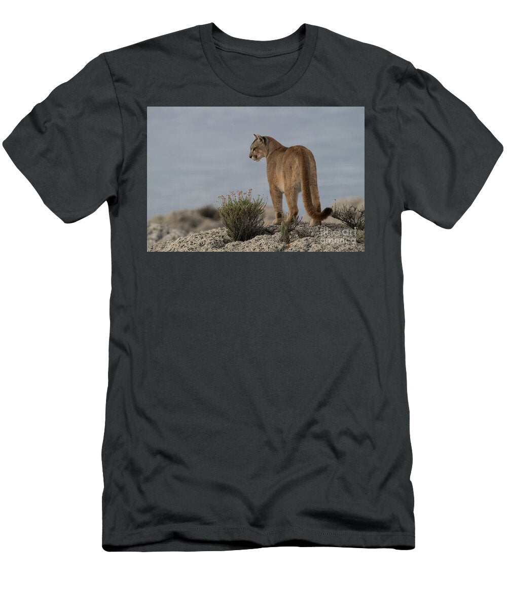 Lakeside Puma Laura Romin T-Shirt