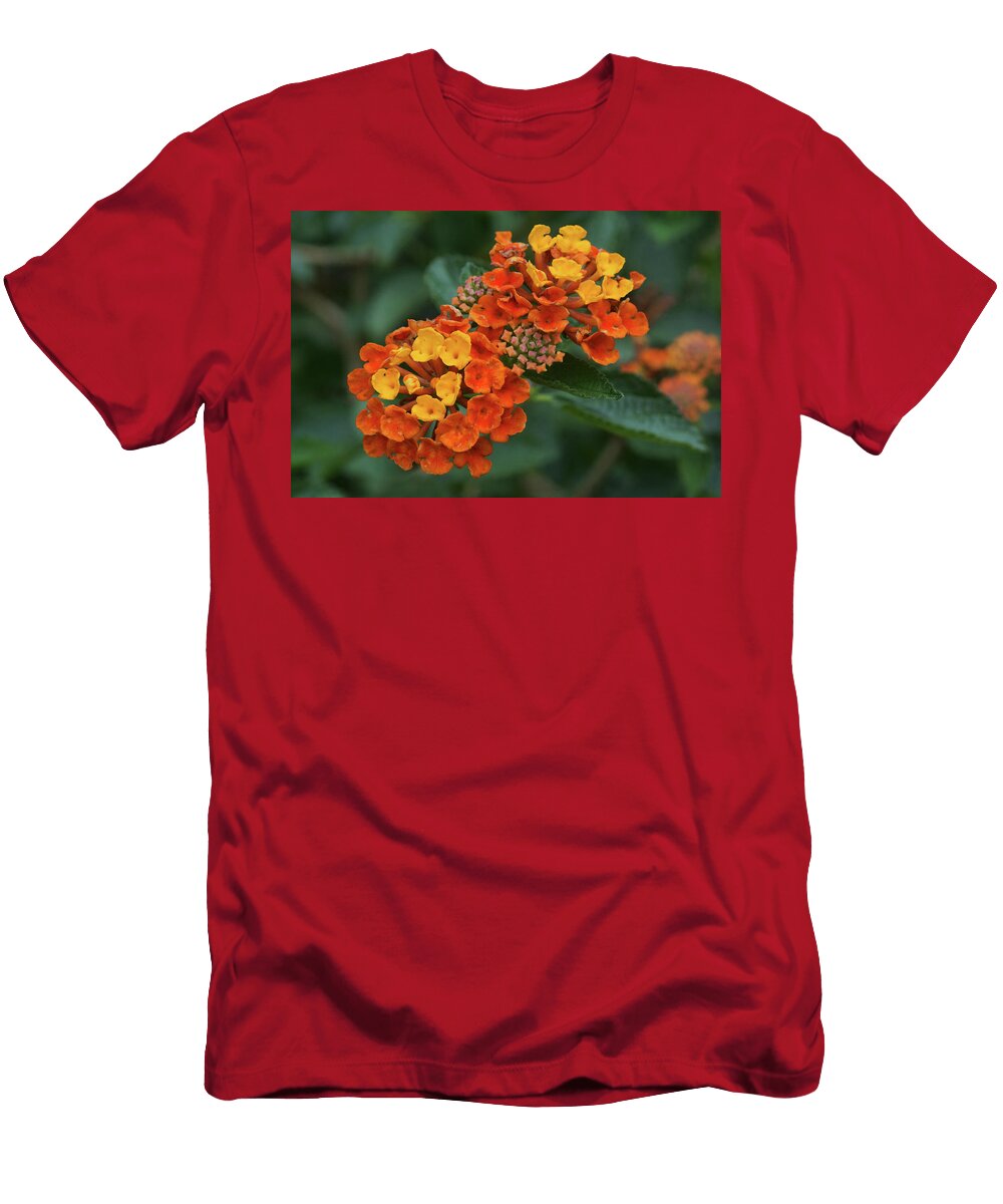 Lantana Cluster Nikolyn Mcdonald T-Shirt