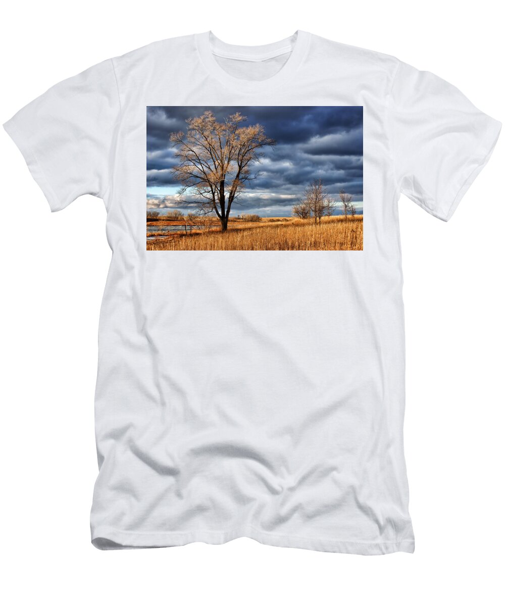 Late Afternoon At Walnut Creek Lake 2 Nikolyn Mcdonald T-Shirt
