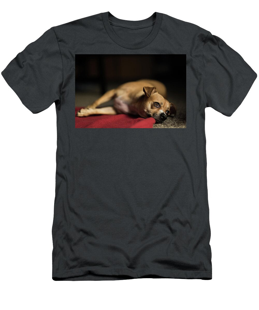 Lazy Pup Jaime Fierro T-Shirt