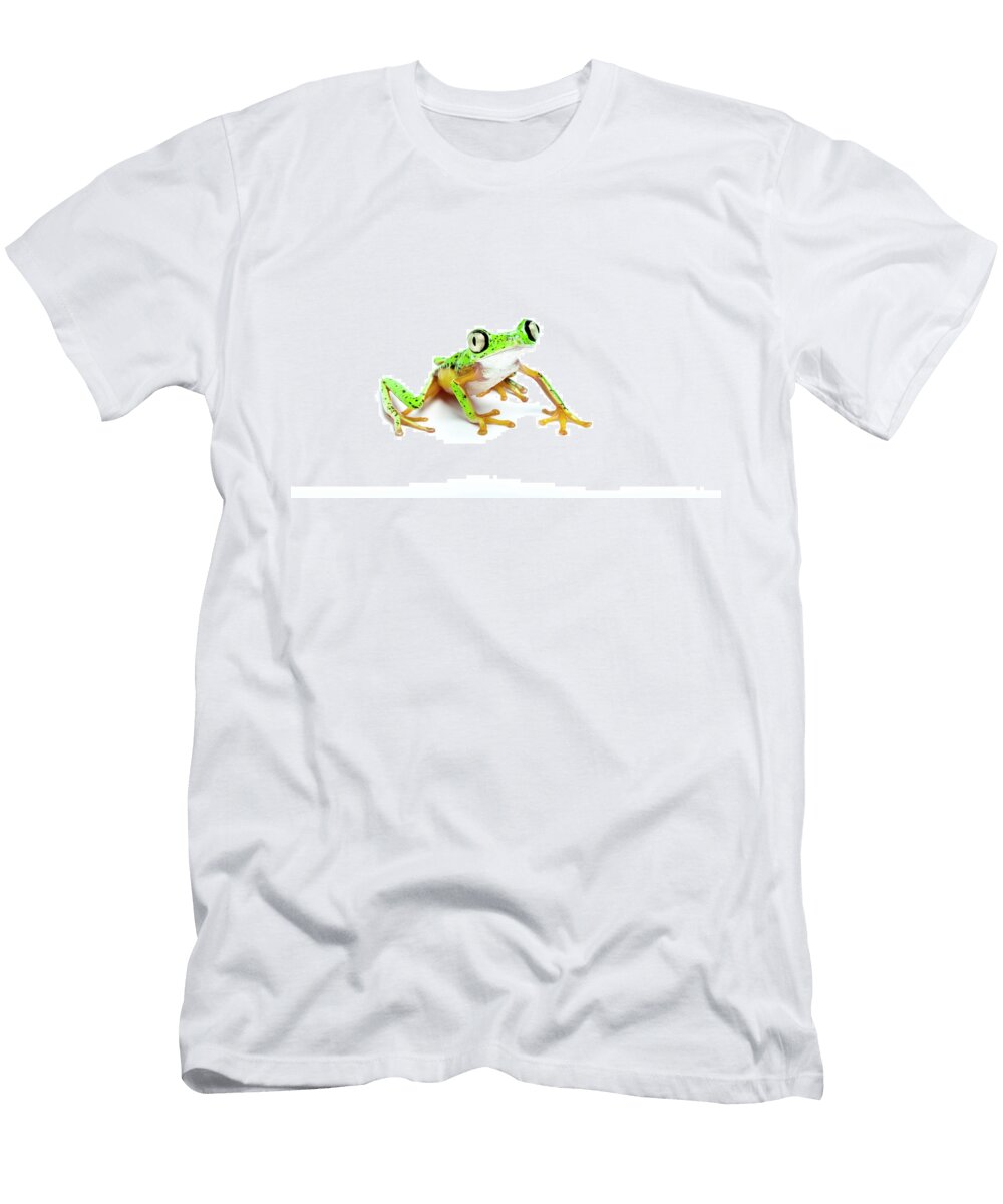 Lemur Leaf Frog Portrait Costa Rica Chris Mattison Natureplcom T-Shirt