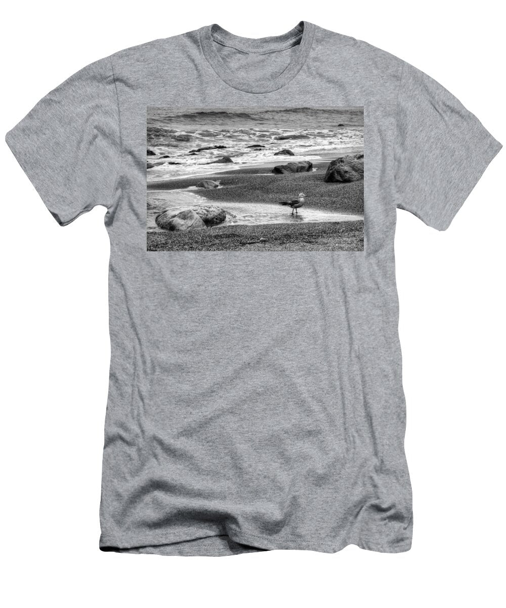 Lithograph and Painting Nikolyn Mcdonald T-Shirt