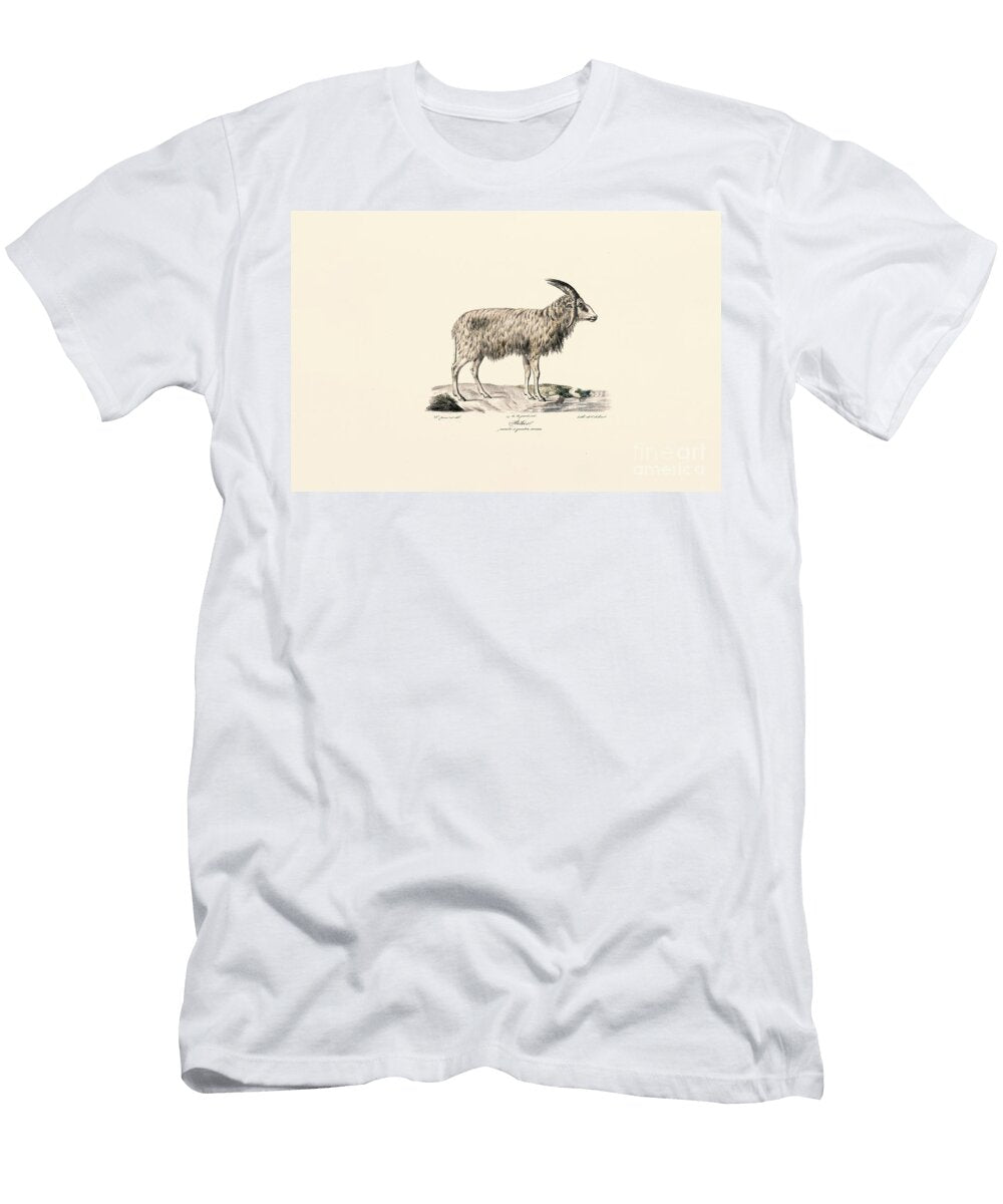 Long Haired Goat 1824 Litho Jacques Christophe Werner T-Shirt