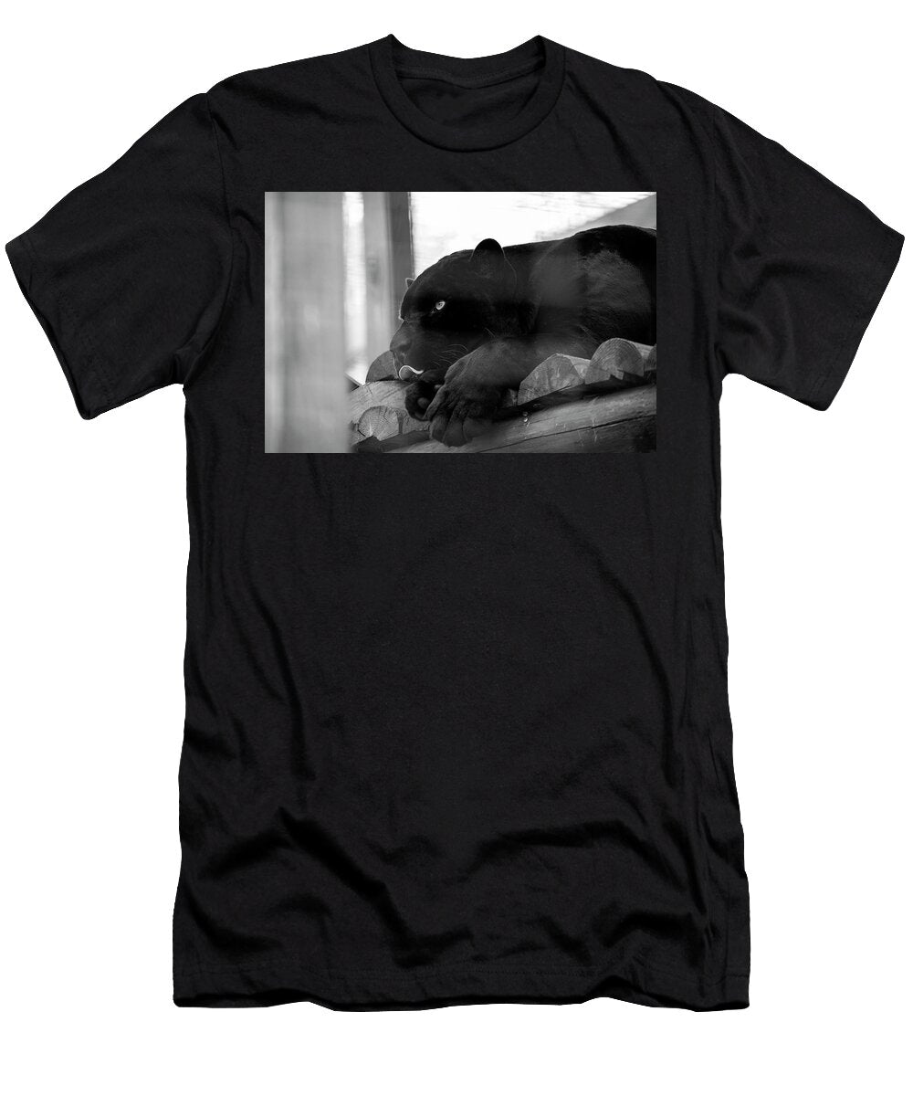 Looks Delicious David Stasiak T-Shirt