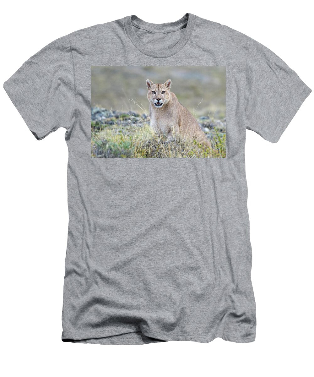 Male Puma Max Waugh T-Shirt