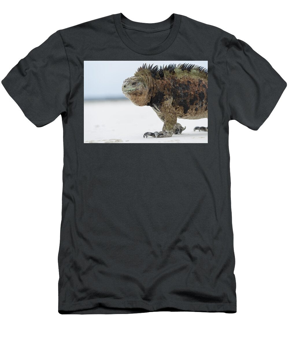 Marine Iguana Male Turtle Bay Santa Tui De Roy T-Shirt