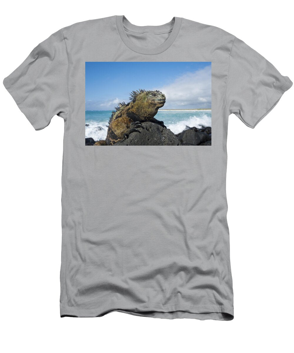 Marine Iguana Turtle Bay Santa Cruz Tui De Roy T-Shirt
