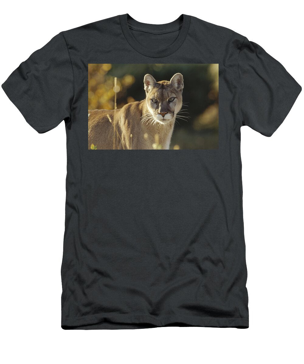 Mountain Lion Adult Portrait North Tim Fitzharris T-Shirt
