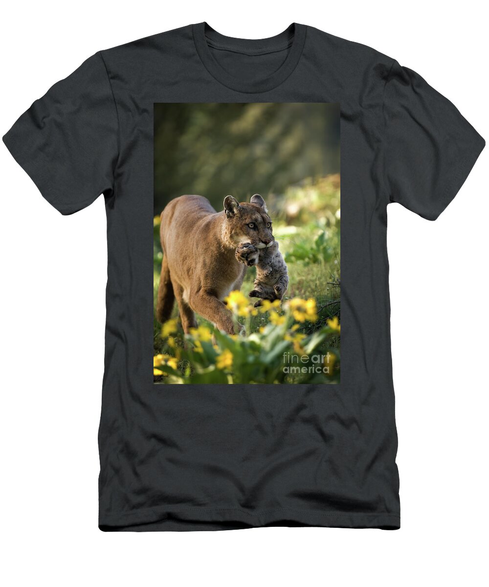 Mountain Lion and Kitten Wildlife Fine Art T-Shirt